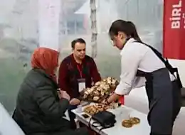 Servis Elemanı Kiralama