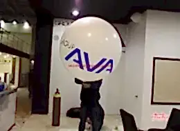 Jumbo Balon Group Ava İstanbul Organizasyon