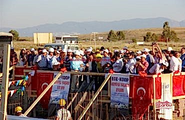 Temel Atma Töreni Organizasyonu İstanbul Organizasyon