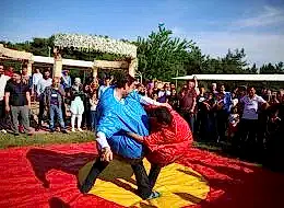 Sumo Güreşi Oyun Parkuru Kiralama
