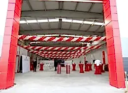 Açılış Organizasyonu Balon Süsleme